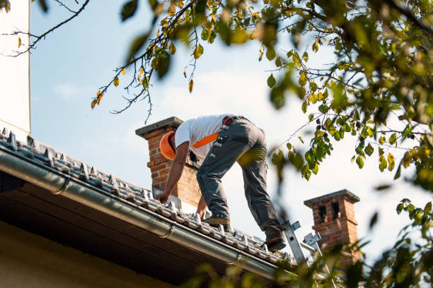 Best Roof Leak Repair  in Olive Hill, KY