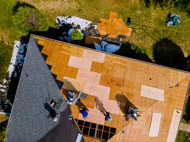 Best Shingle Roofing Installation  in Olive Hill, KY
