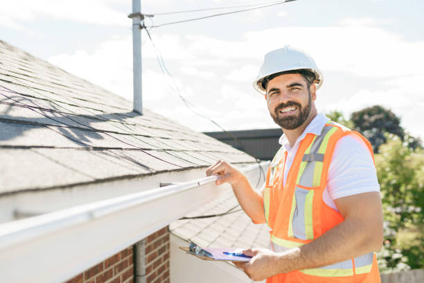 Best Roof Gutter Cleaning  in Olive Hill, KY