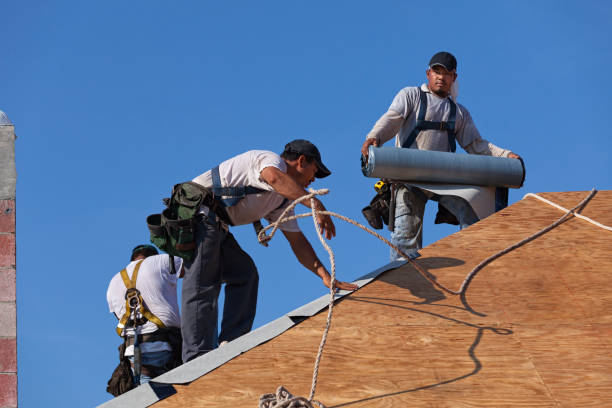 Best Roof Gutter Cleaning  in Olive Hill, KY