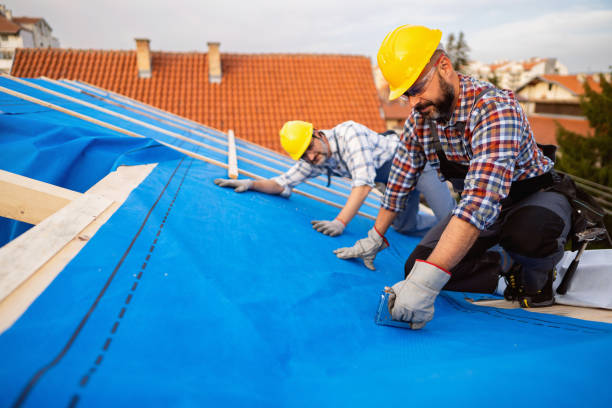 Best Roof Replacement Cost  in Olive Hill, KY