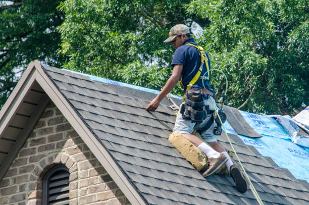Best Local Roofing Companies  in Olive Hill, KY
