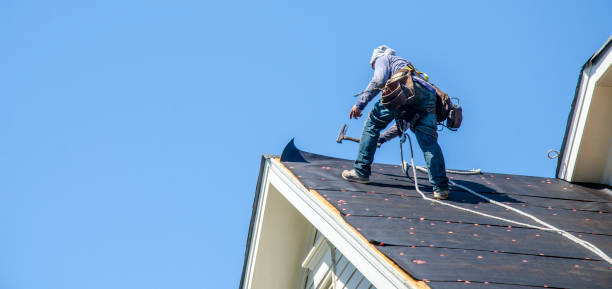 Best Roof Replacement Cost  in Olive Hill, KY